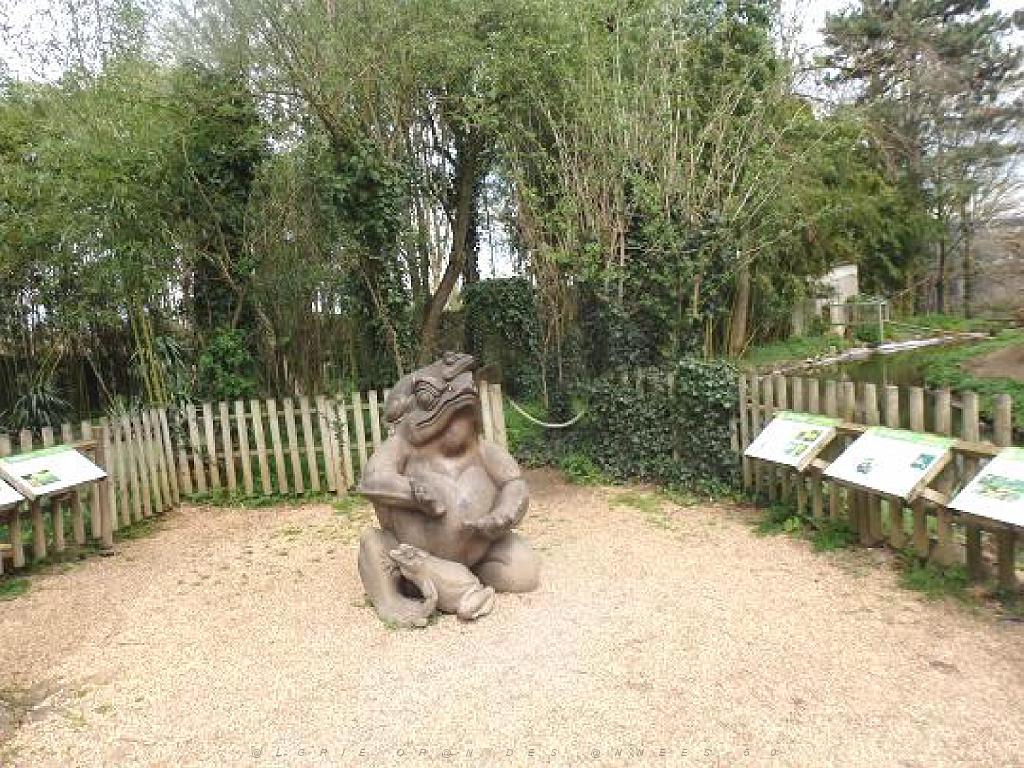 149 BIO PARC DE DOUE LA FONTAINE 7- 2016_000039.jpg